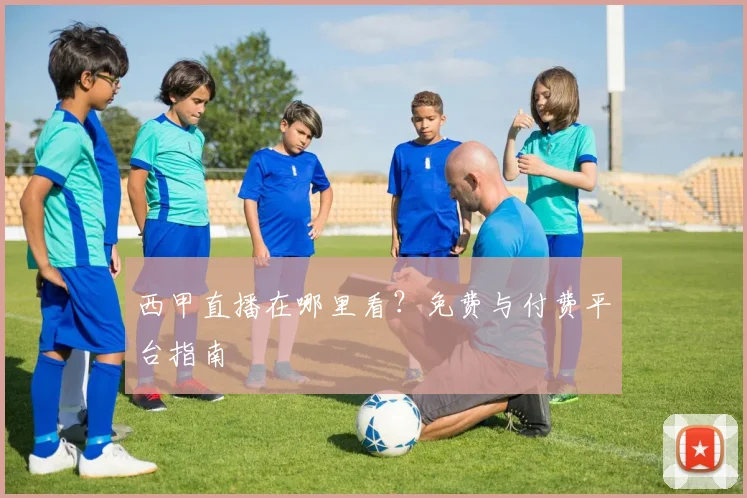 西甲直播在哪里看？免费与付费平台指南