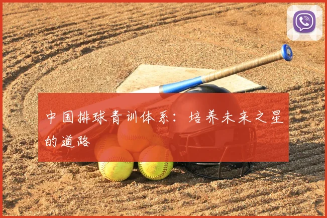 中国排球青训体系:培养未来之星的道路