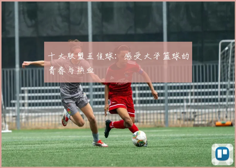 十大联盟五佳球：感受大学篮球的青春与热血