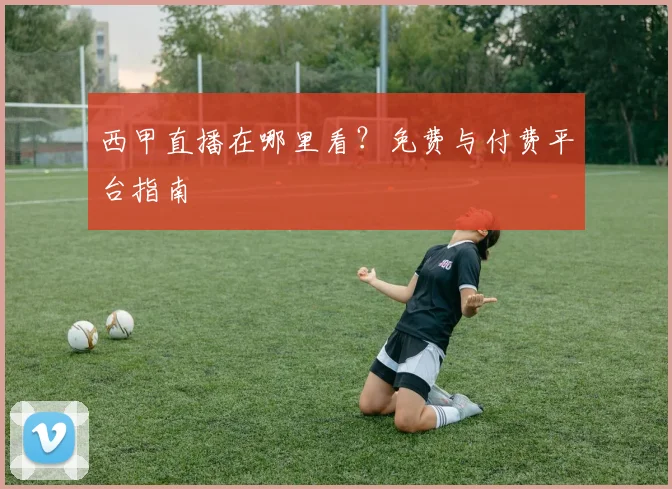 西甲直播在哪里看？免费与付费平台指南